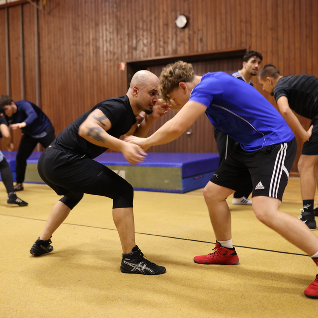 Zwei Ringer &uuml;ben Techniken auf einer Wettkampfmatte, w&auml;hrend weitere Sportler im Hintergrund trainieren.
